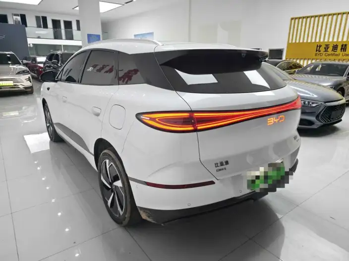 Sea Lion 06DM 2025 Model DM-i 205KM Pilot Plus Edition