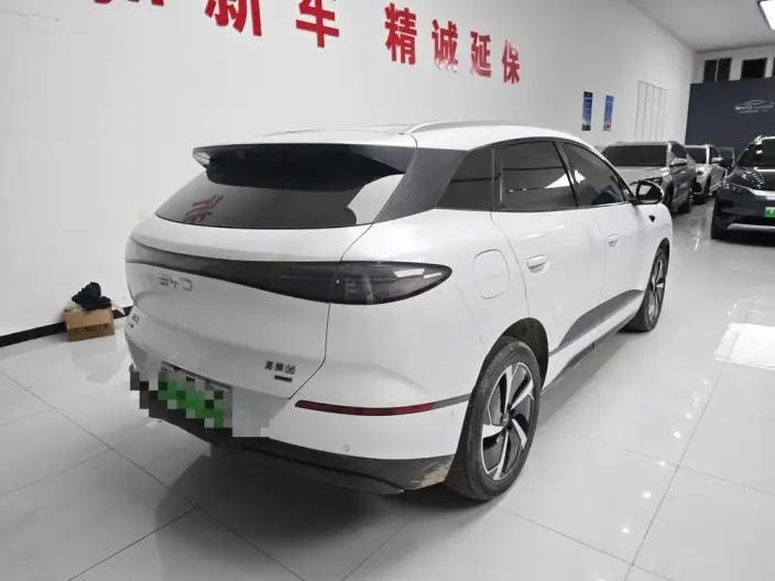 Sea Lion 06DM 2025 Model DM-i 205KM Pilot Plus Edition – фото 6