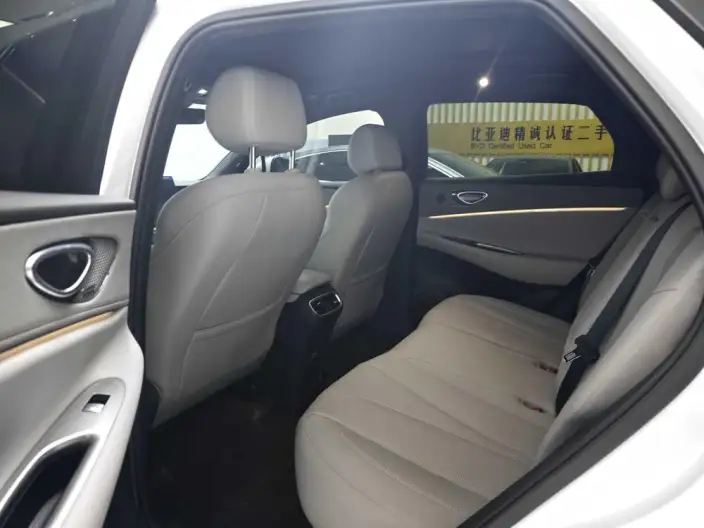 Sea Lion 06DM 2025 Model DM-i 205KM Pilot Plus Edition – фото 9