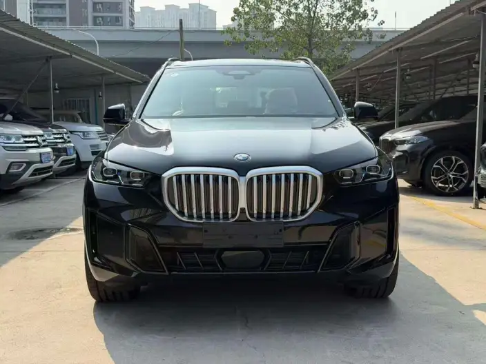 BMW X5 2026 Model Facelift xDrive40Li M Sports Night Set – фото 2
