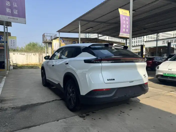 SKY EV01 2025 Model 530km PRO Elite Executive Edition