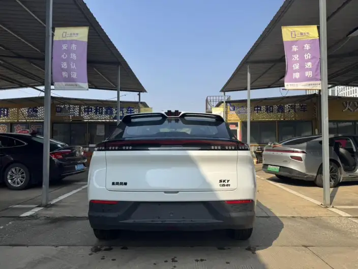 SKY EV01 2025 Model 530km PRO Elite Executive Edition – фото 5