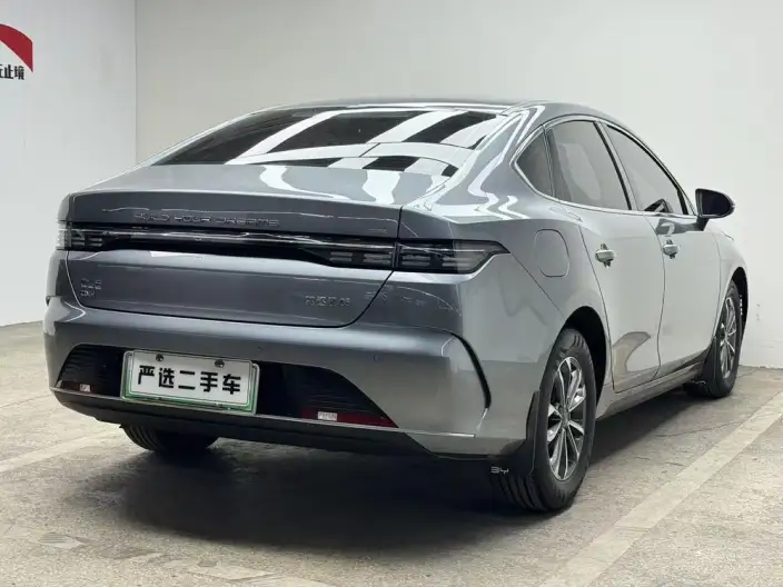 BYD Destroyer 05 2023 Model DM-i Champion Edition 55KM Luxury Model – фото 6