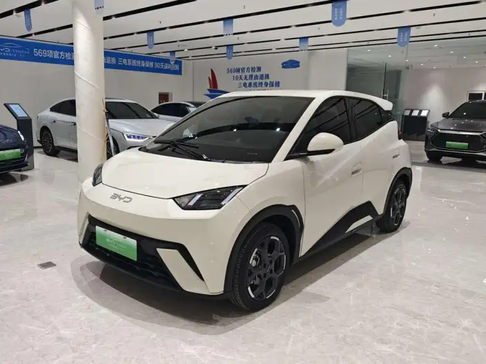 BYD Seagull 2024 Model Honor Edition 305KM Free Edition