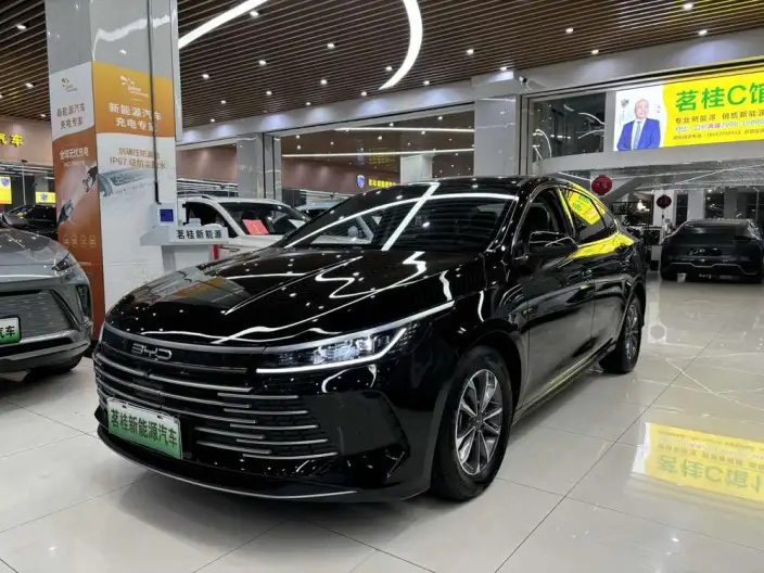 BYD Destroyer 05 2024 Model Honor Edition DM-i 55KM Luxury Model