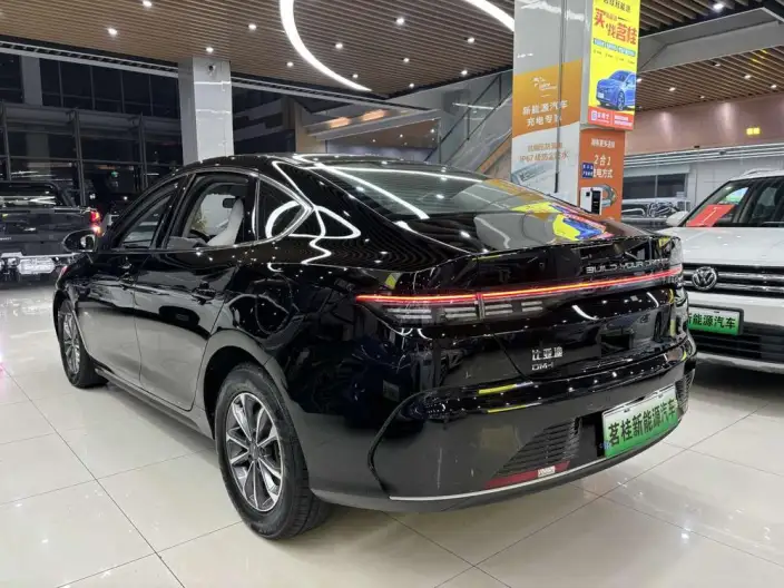 BYD Destroyer 05 2024 Model Honor Edition DM-i 55KM Luxury Model – фото 5