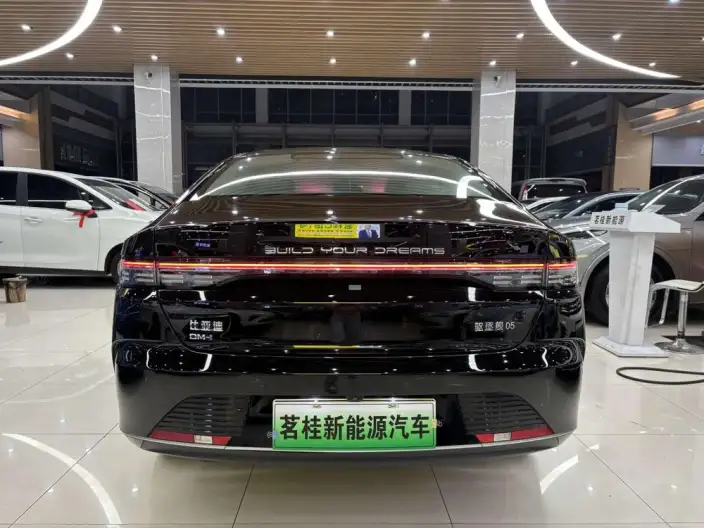 BYD Destroyer 05 2024 Model Honor Edition DM-i 55KM Luxury Model – фото 6