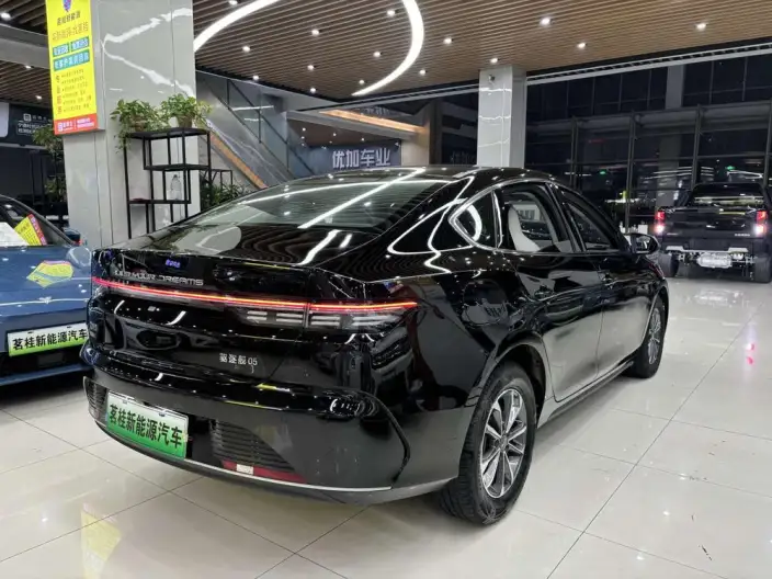 BYD Destroyer 05 2024 Model Honor Edition DM-i 55KM Luxury Model – фото 7