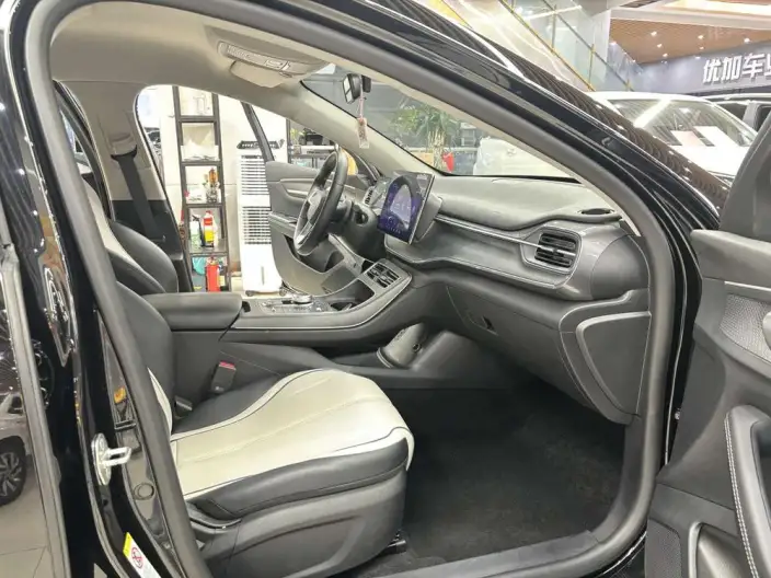 BYD Destroyer 05 2024 Model Honor Edition DM-i 55KM Luxury Model – фото 8