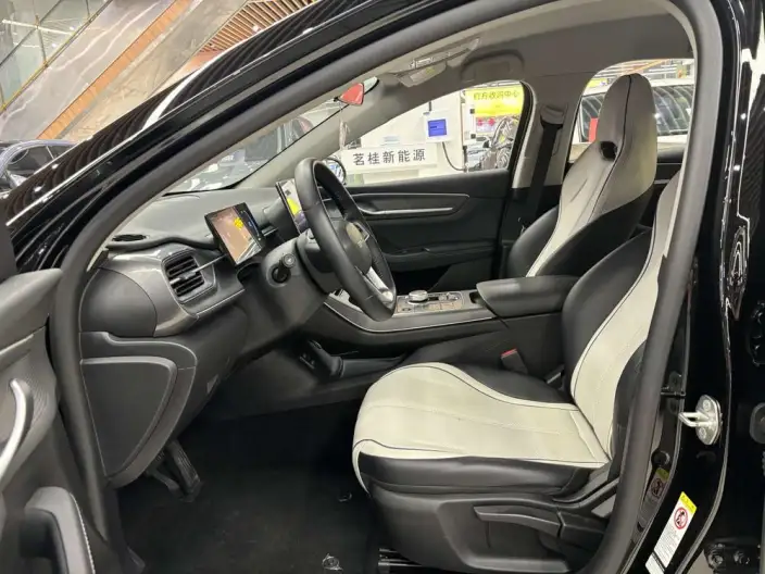 BYD Destroyer 05 2024 Model Honor Edition DM-i 55KM Luxury Model – фото 10