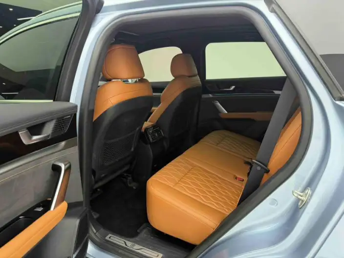 BYD Tang DM 2023 Model DM-i Champion Edition 112KM Exclusive Model – фото 9
