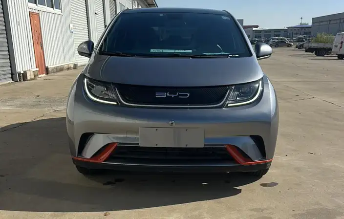 BYD Dolphin 2021 Model Fashion Edition – фото 2