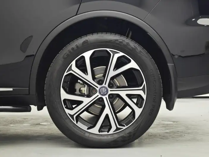 BYD Tang DM 2025 Model Smart Driving Edition DM-i 115KM Zunrong Model – фото 9