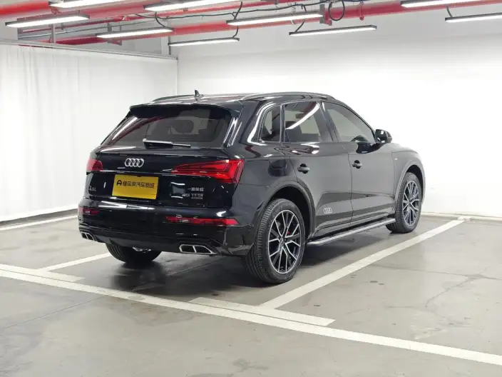 Audi Q5L 2025 Model quattro 45th Anniversary Collector Edition Edition 45TFSI Luxury Dynamic Model – фото 7