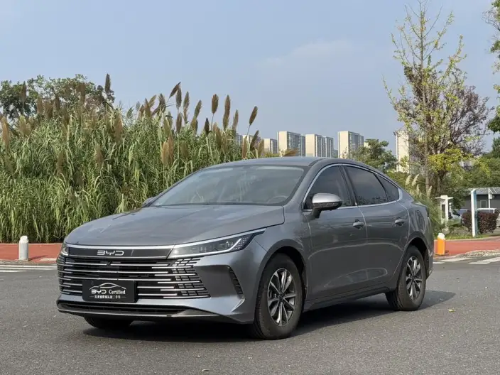 BYD Destroyer 05 2024 Model Honor Edition DM-i 55KM Luxury Model