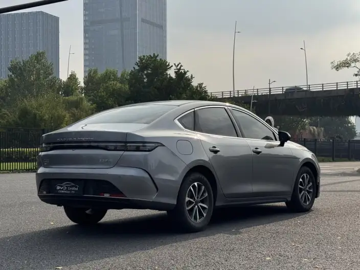 BYD Destroyer 05 2024 Model Honor Edition DM-i 55KM Luxury Model – фото 5