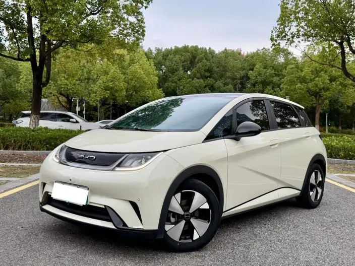 BYD Dolphin 2023 Model Free Edition