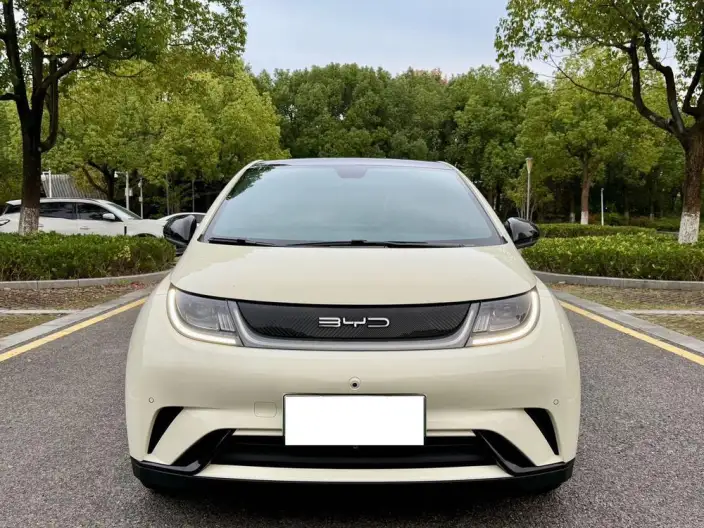 BYD Dolphin 2023 Model Free Edition