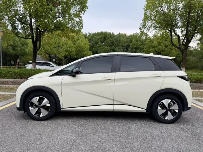 BYD Dolphin 2023 Model Free Edition