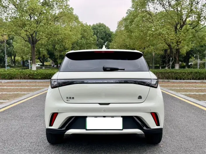 BYD Dolphin 2023 Model Free Edition