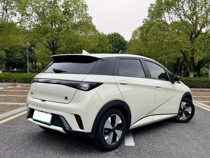 BYD Dolphin 2023 Model Free Edition – фото 5