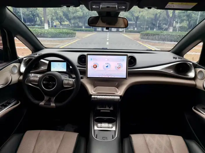 BYD Dolphin 2023 Model Free Edition – фото 10