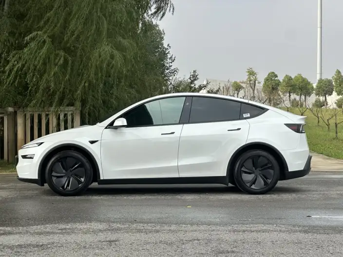 Model Y 2025 Model Rear-wheel drive version