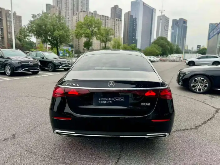 Mercedes-Benz E-Class 2025 Model Facelift E 300 L Luxury Model sedan – фото 6