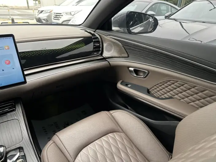 BYD Han DM 2023 Model DM-i Champion Edition 121KM Exclusive Model – фото 10