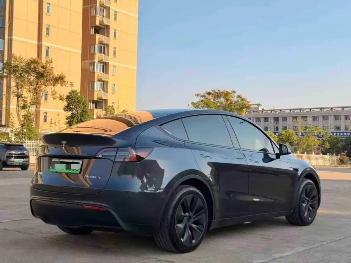 Model Y 2023 Model Rear-wheel drive version – фото 6