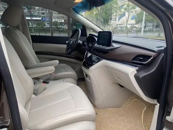 Buick GL8 2023 Model Business class 2.0T Comfort Model – фото 6