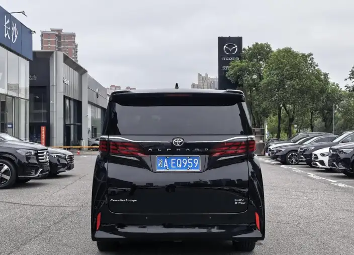 Elfa 2023 Model 2.5L Intelligent Hybrid 4WD Premium – фото 6