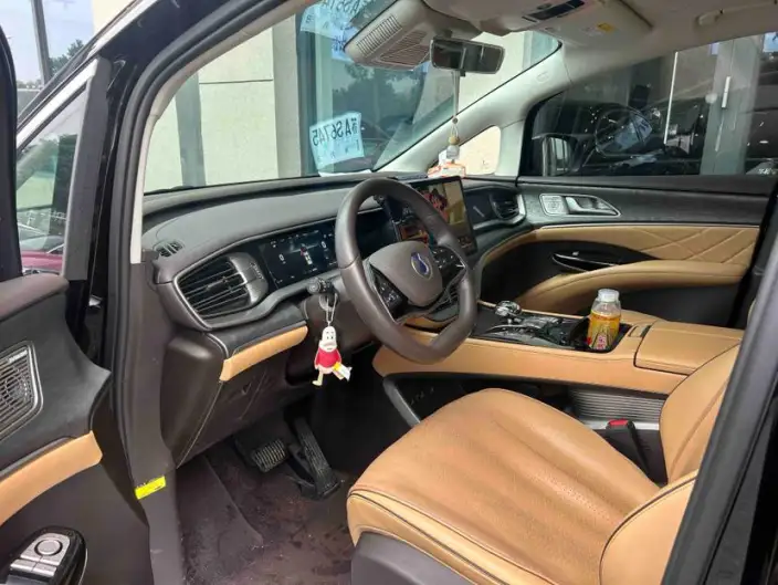 DENZA D9 DM 2024 Model 970 Luxury Model – фото 8