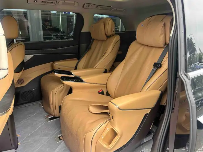 DENZA D9 DM 2024 Model 970 Luxury Model – фото 9