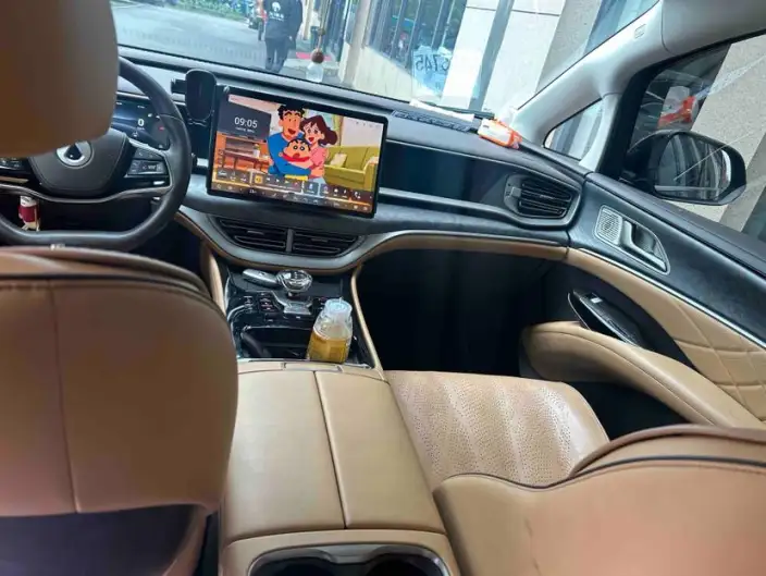 DENZA D9 DM 2024 Model 970 Luxury Model – фото 10