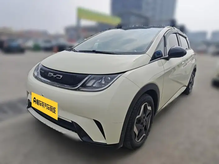 BYD Dolphin 2021 Model Fashion Edition