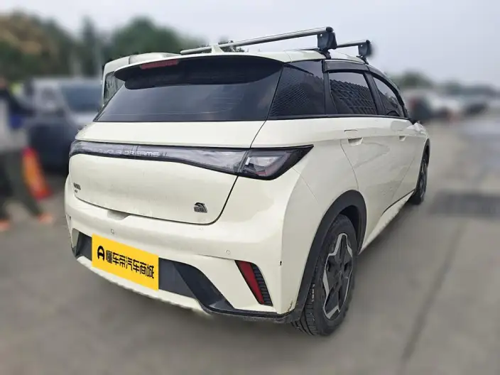BYD Dolphin 2021 Model Fashion Edition
