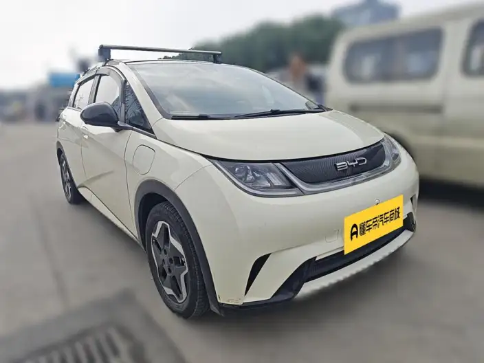 BYD Dolphin 2021 Model Fashion Edition