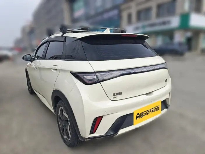 BYD Dolphin 2021 Model Fashion Edition