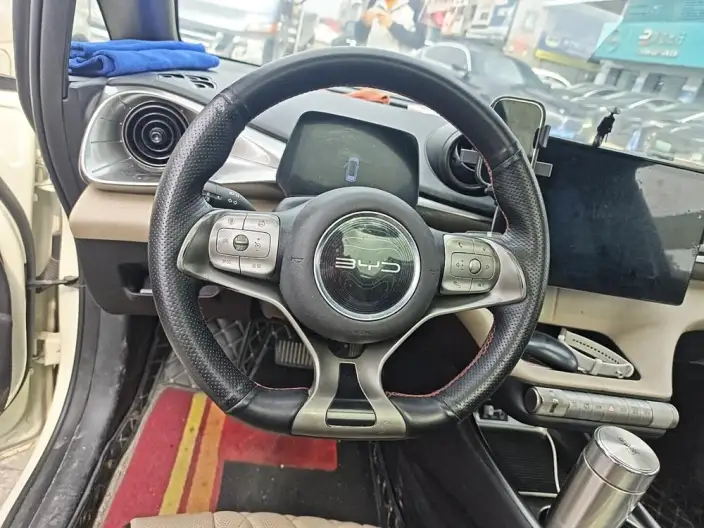 BYD Dolphin 2021 Model Fashion Edition – фото 6