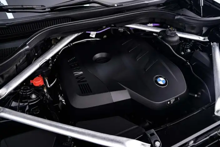 BMW X5 2023 Model xDrive30Li Exclusive Model M Sports Night Set – фото 7