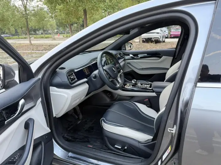 Qin Plus EV 2021 Model 400KM Luxury Model – фото 10