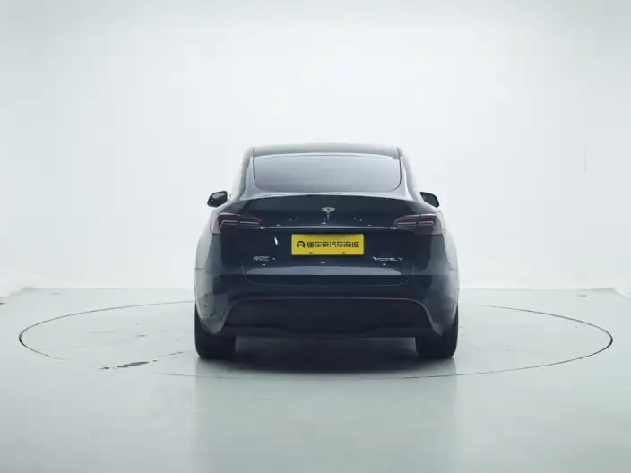 Model Y 2024 Model Long Battery Life Pro All-wheel drive version – фото 6
