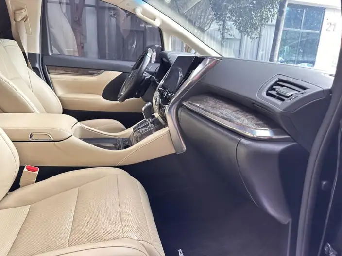 Elfa 2021 Model Hybrid 2.5L Premium Edition – фото 7