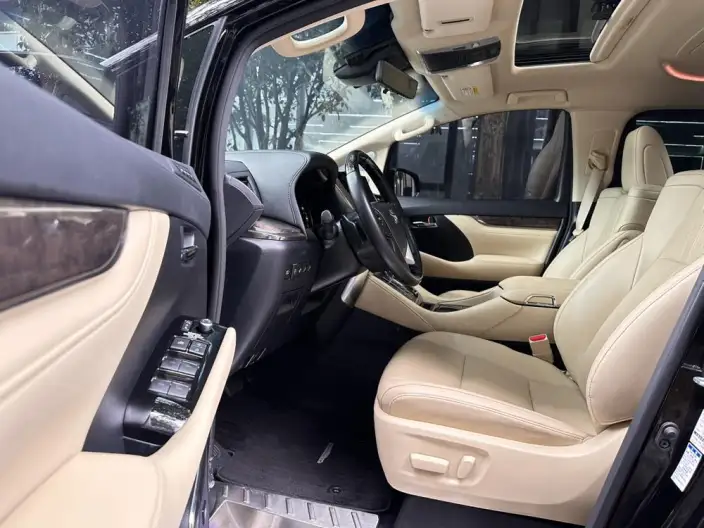 Elfa 2021 Model Hybrid 2.5L Premium Edition – фото 9