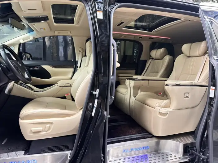 Elfa 2021 Model Hybrid 2.5L Premium Edition – фото 10