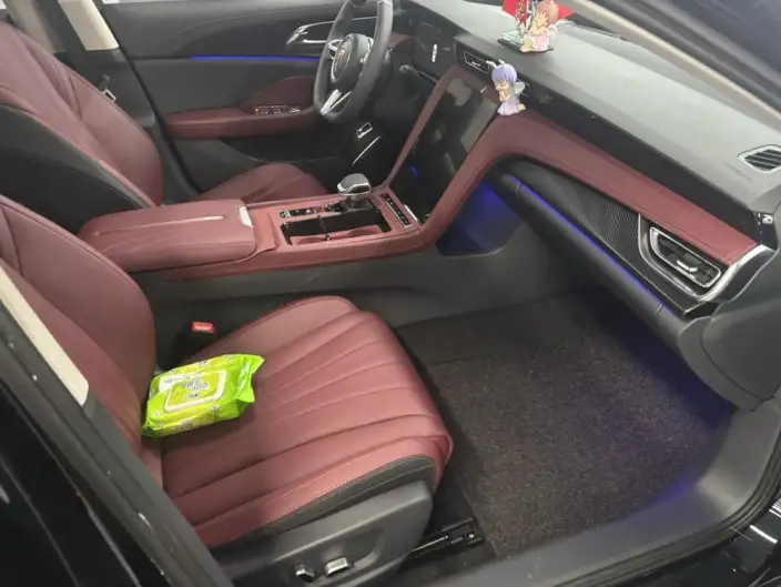 Hongqi H5 2025 Model 2.0T Automatic Flag Enjoy Edition – фото 9