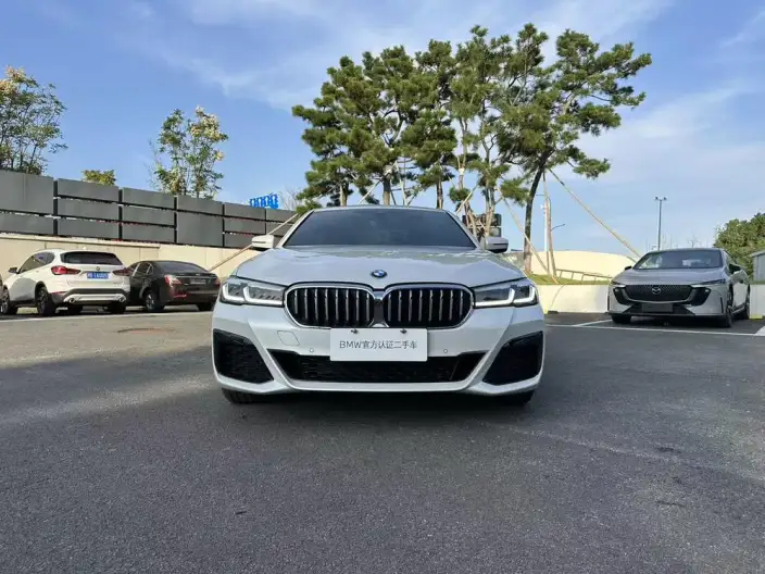 BMW 5 Series 2023 Model 530Li Exclusive Model M Sports Set