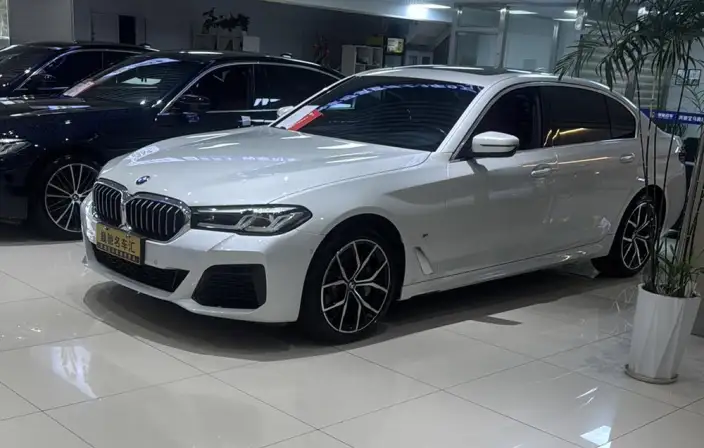 BMW 5 Series 2023 Model 530Li Exclusive Model M Sports Set – фото 8