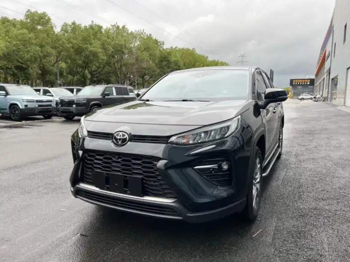 Toyota Wildlander 2020 Model 2.0L 2WD Leading version